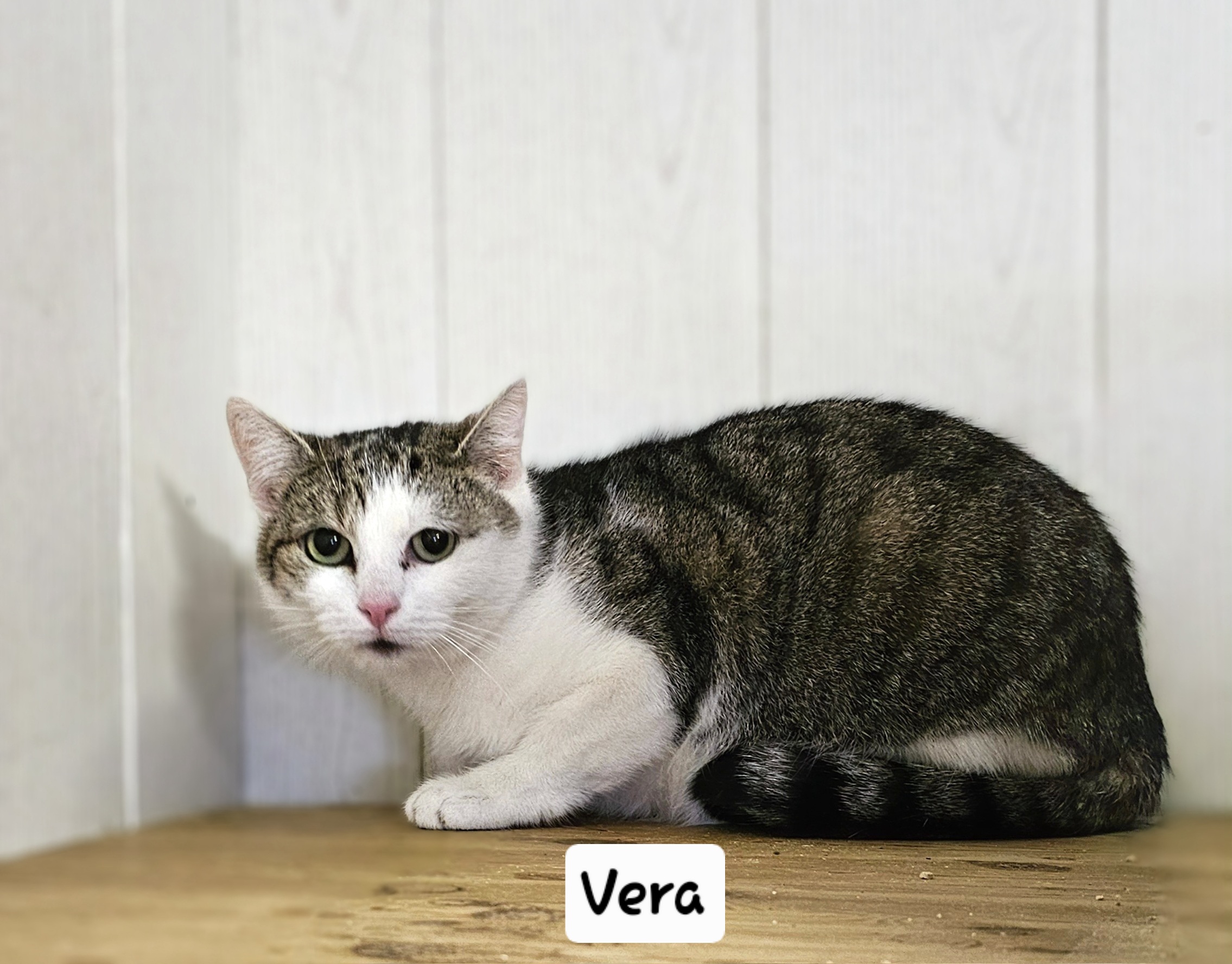 Vera