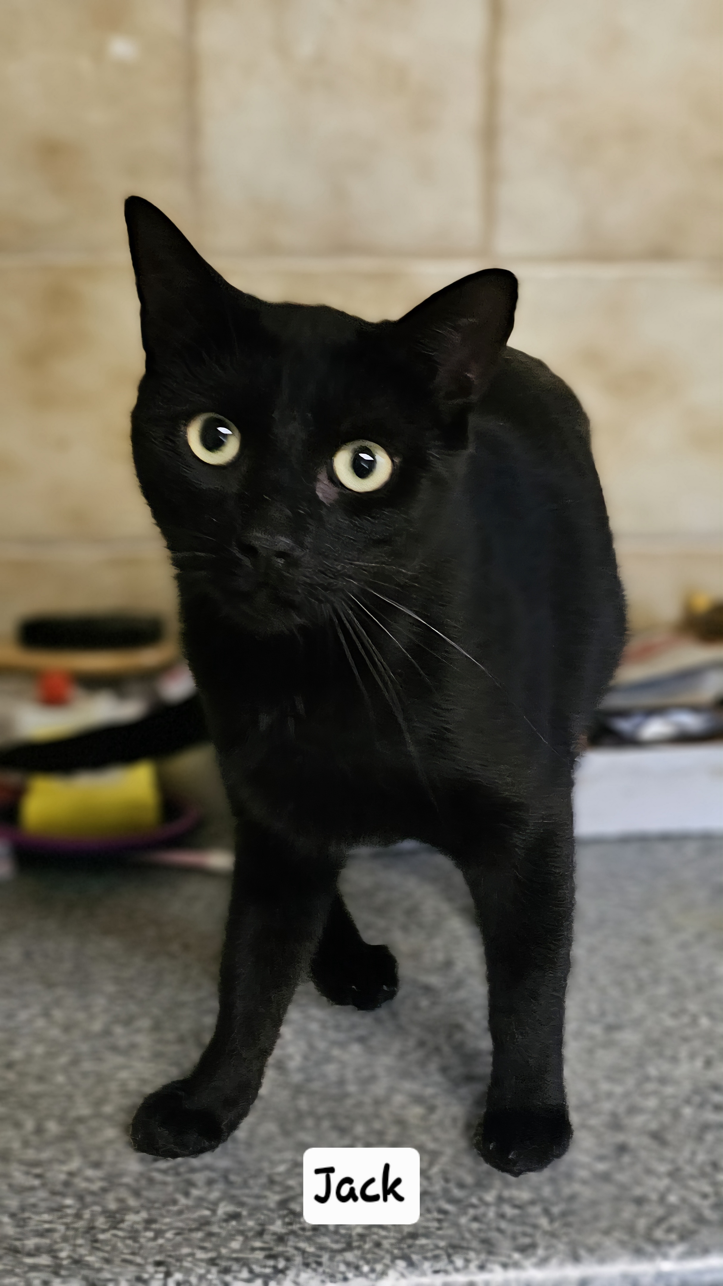 Jack