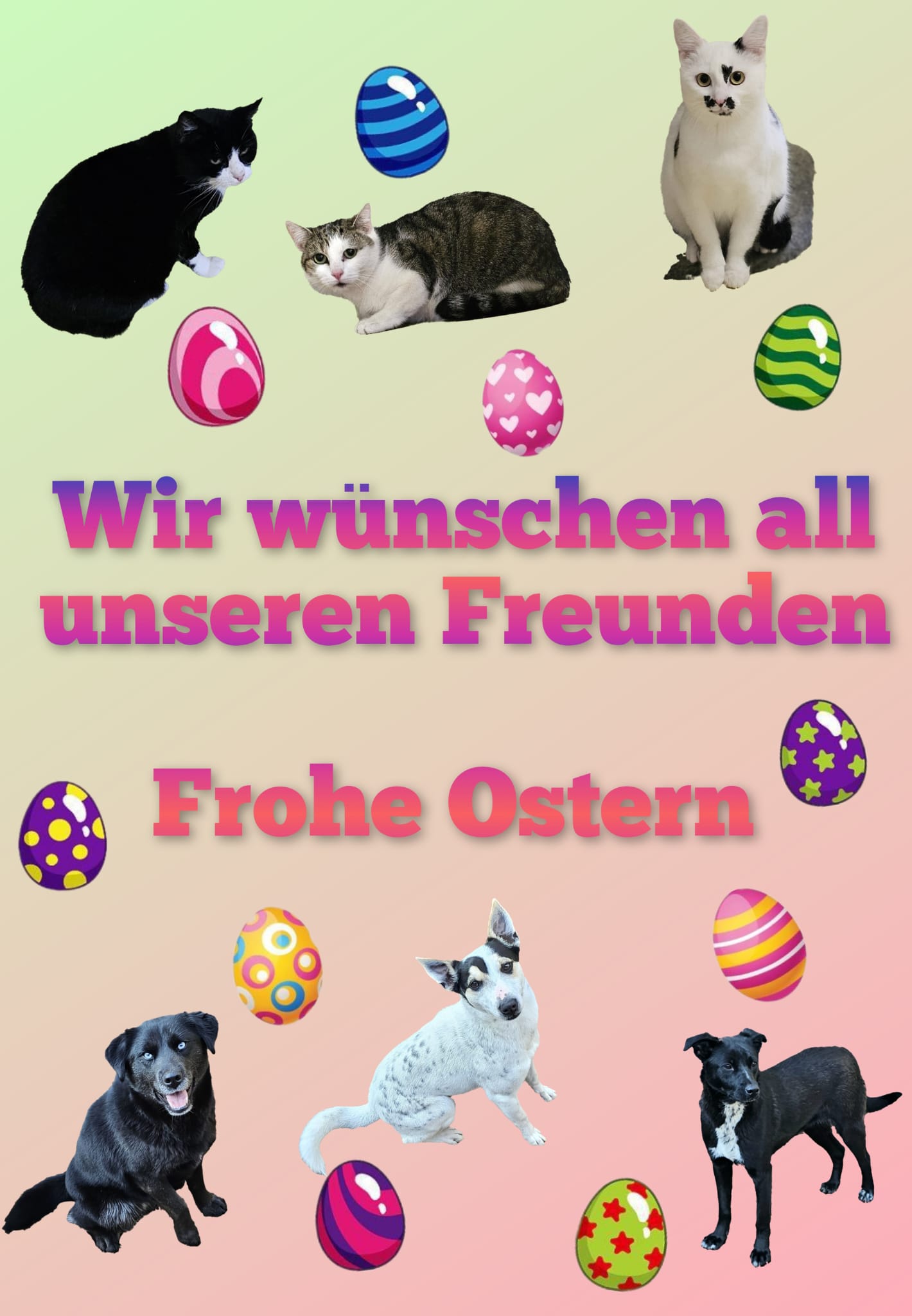 WhatsApp Bild 2025 04 20 um 11.17.54 14d158c4
